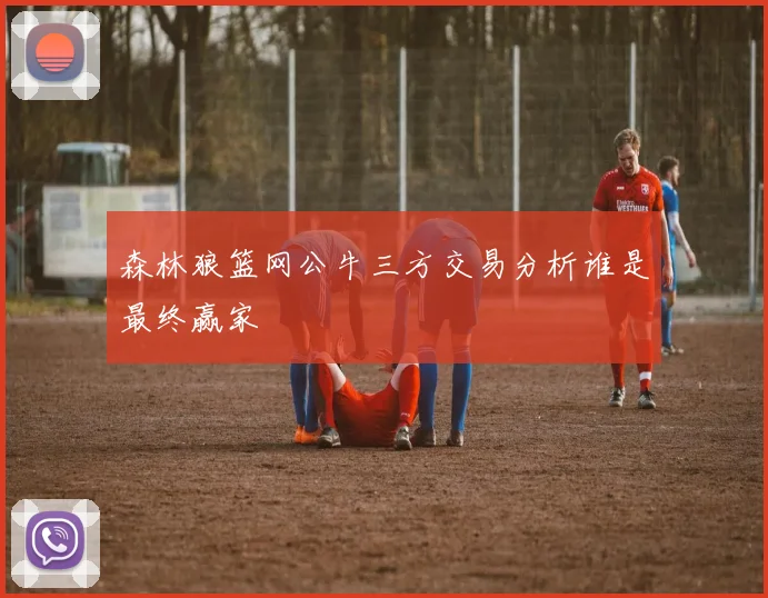 森林狼篮网公牛三方交易分析谁是最终赢家